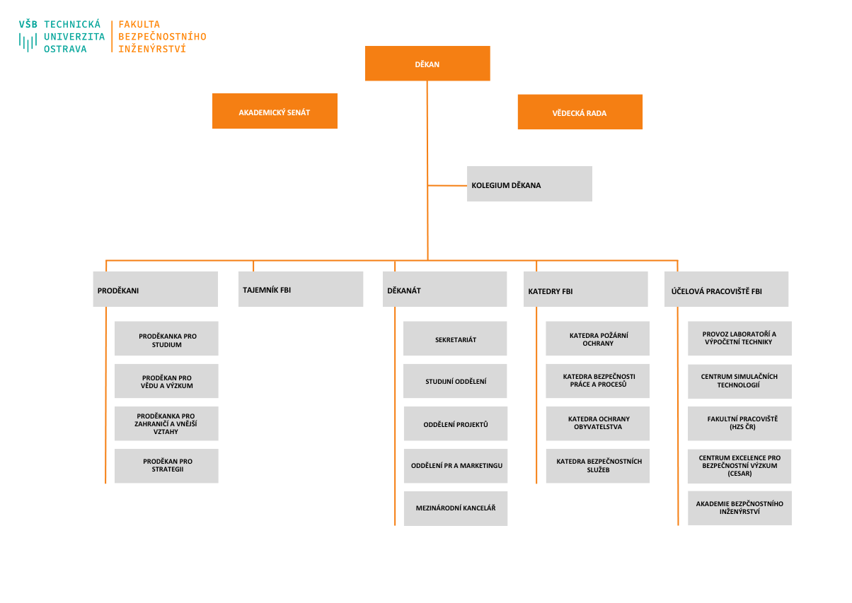 Organizační struktura česky